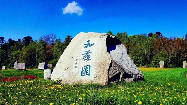 美媒预测拜登获306张选举人票赢得大选